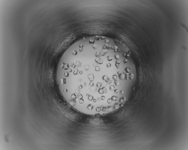 X0000101950258200808081512