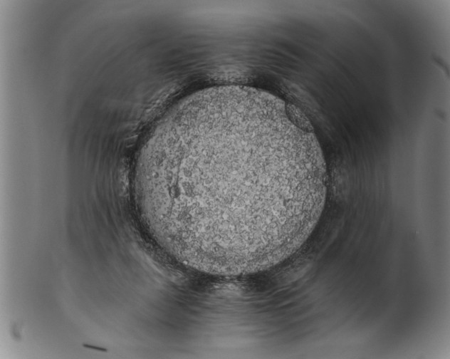 X0000101950259200808081512