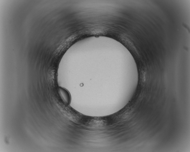 X0000101950260200808081512