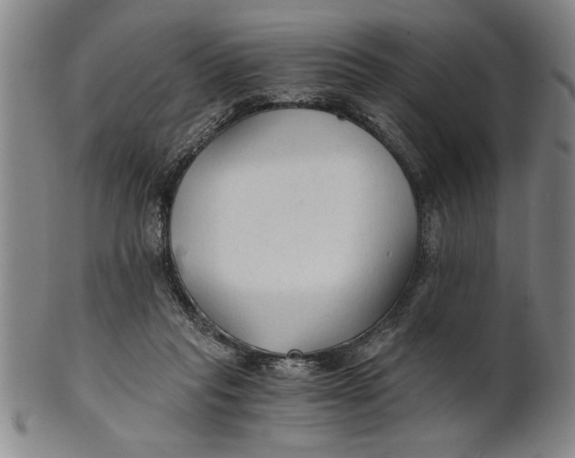 X0000101950261200808081512