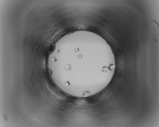 X0000101950262200808081512