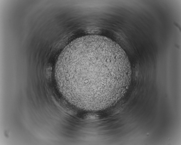 X0000101950263200808081512