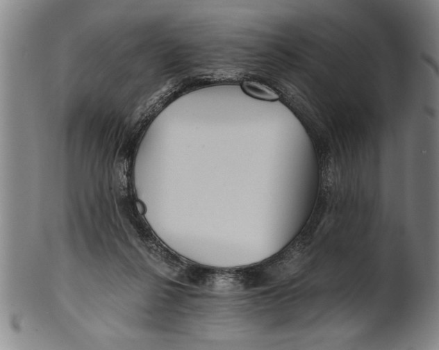 X0000101950264200808081512