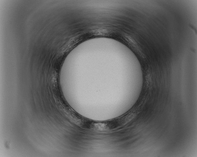 X0000101950265200808081512