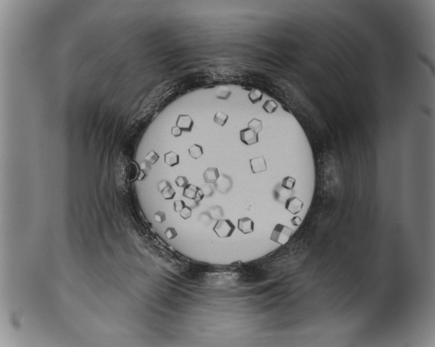 X0000101950266200808081512