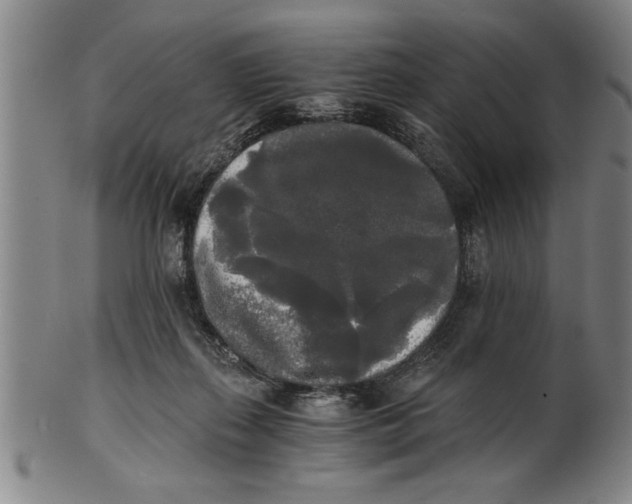 X0000101950267200808081512