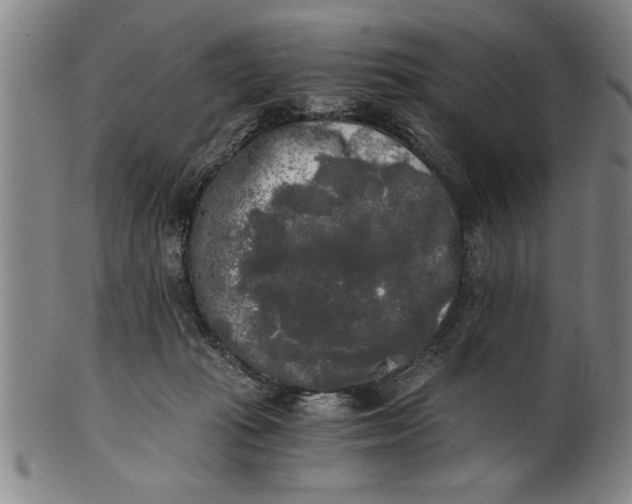 X0000101950269200808081512