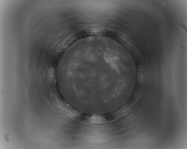 X0000101950270200808081512