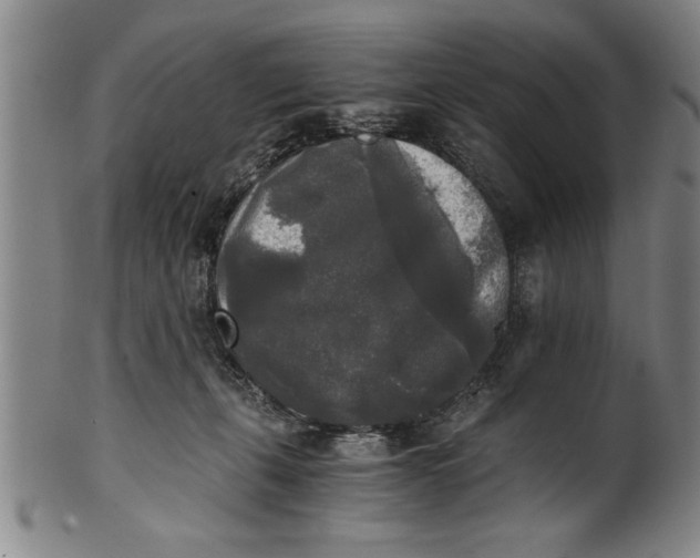 X0000101950271200808081512