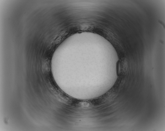 X0000101950272200808081512