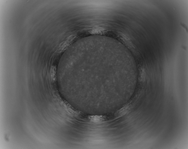 X0000101950273200808081512