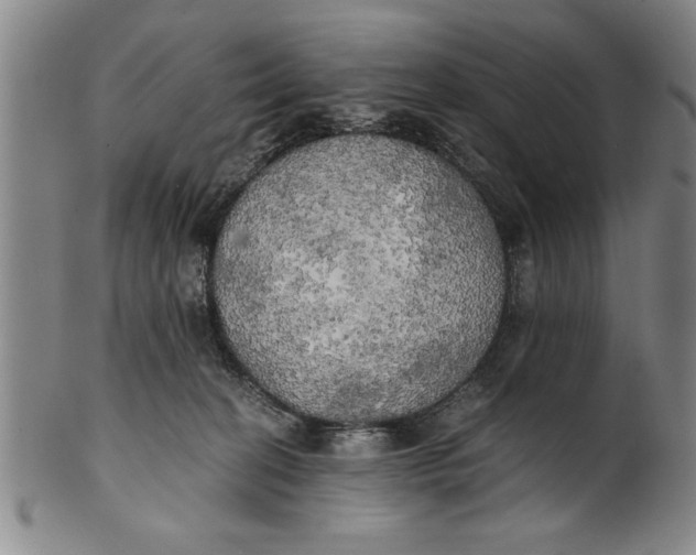 X0000101950274200808081512