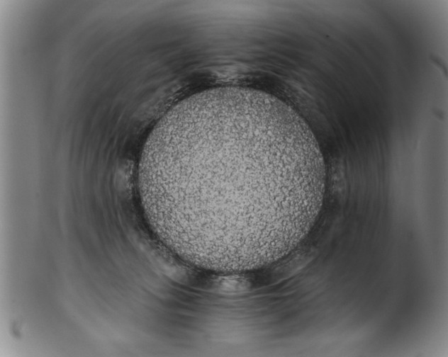 X0000101950275200808081512