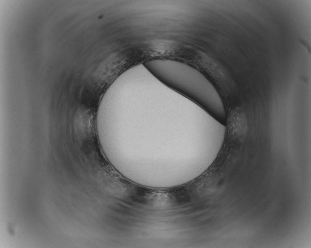 X0000101950276200808081512