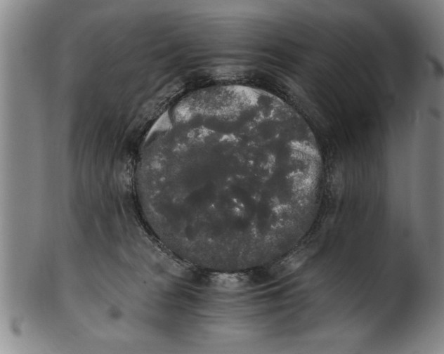X0000101950277200808081512