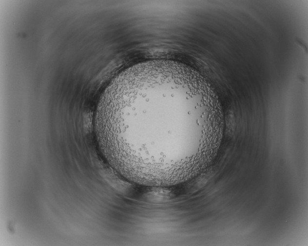X0000101950278200808081512