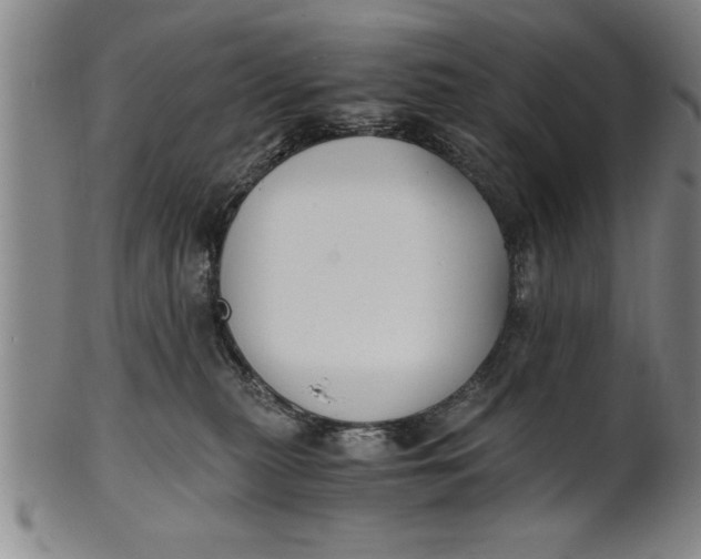 X0000101950279200808081512