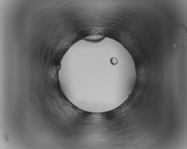X0000101950280200808081512
