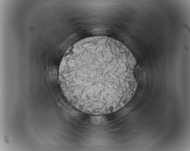 X0000101950281200808081512