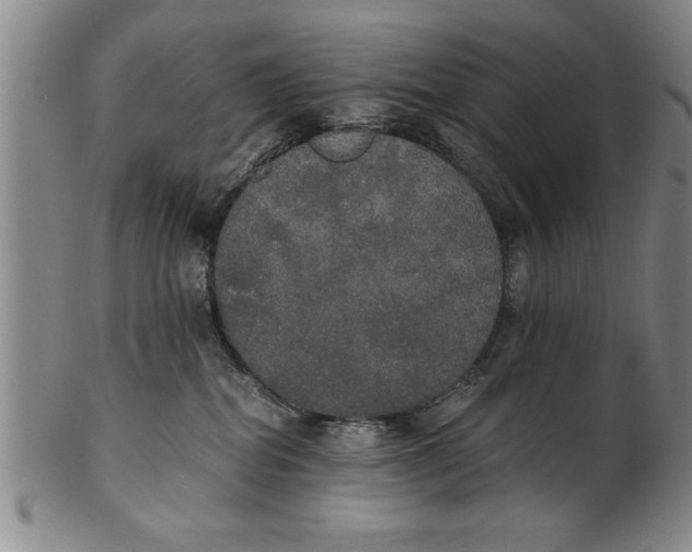 X0000101950282200808081512