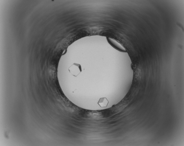 X0000101950283200808081512