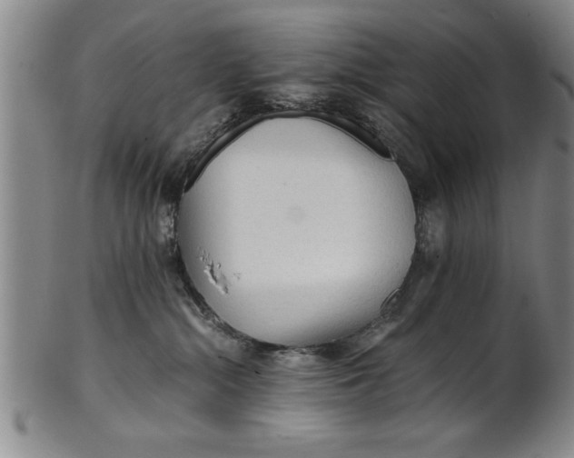 X0000101950284200808081512