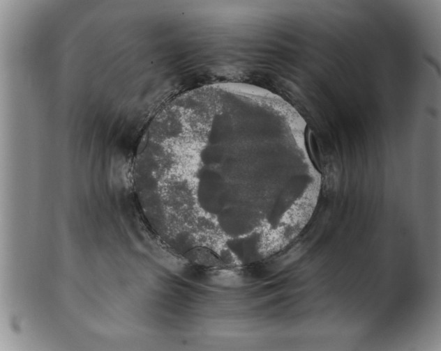 X0000101950285200808081512