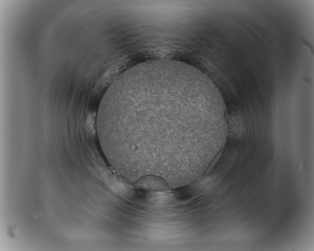 X0000101950286200808081512