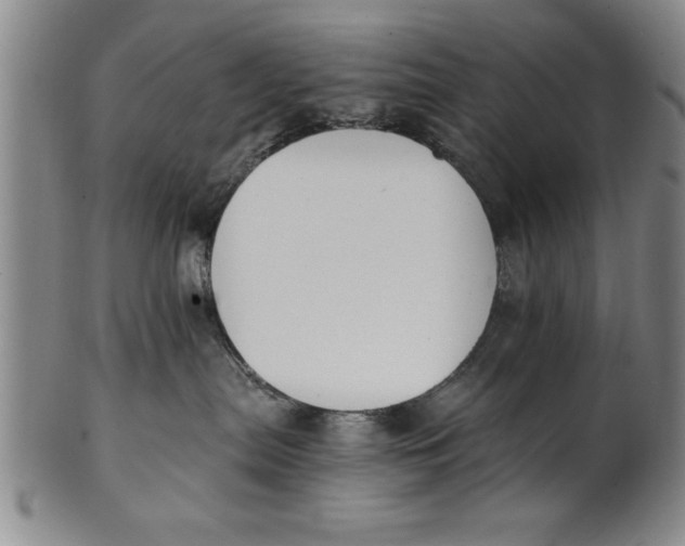 X0000101950287200808081512