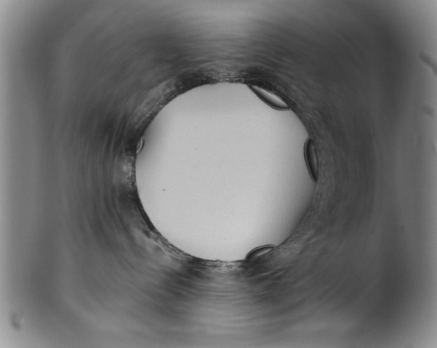 X0000101950288200808081512
