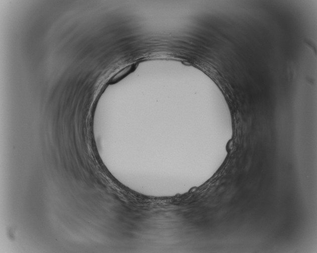 X0000101950289200808081512