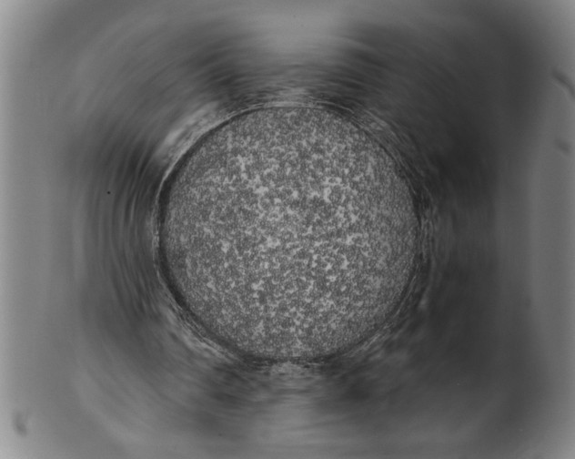 X0000101950290200808081512