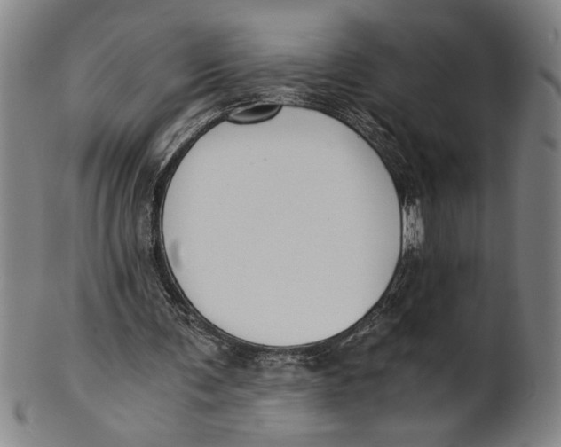 X0000101950291200808081512