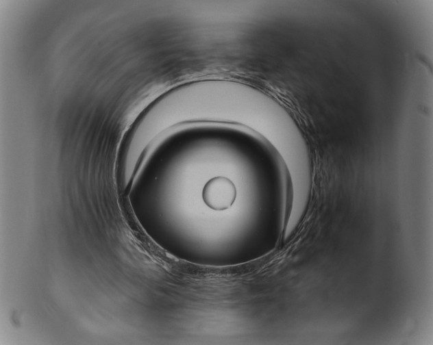 X0000101950292200808081512