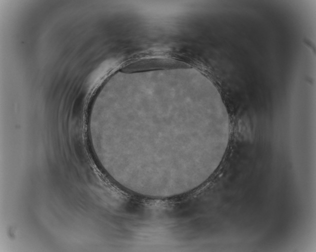 X0000101950293200808081512