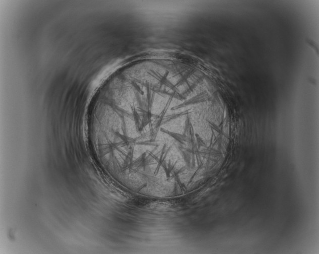 X0000101950294200808081511
