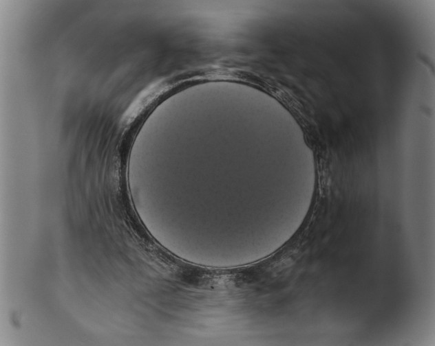 X0000101950295200808081511