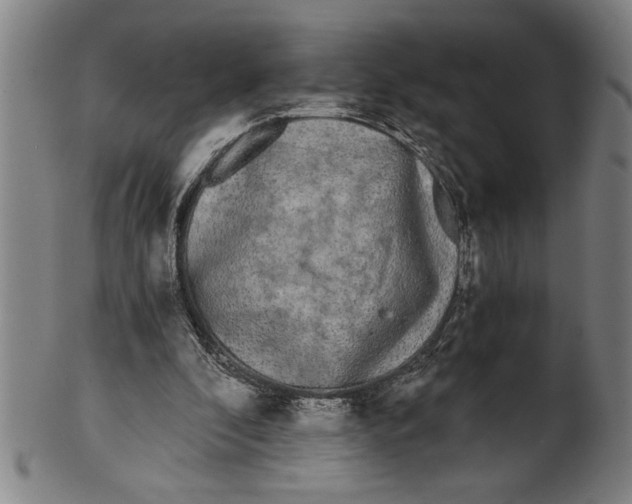 X0000101950296200808081511