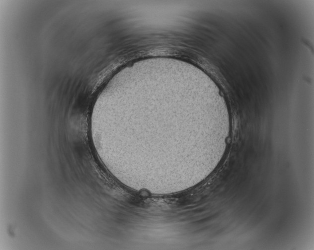 X0000101950297200808081511