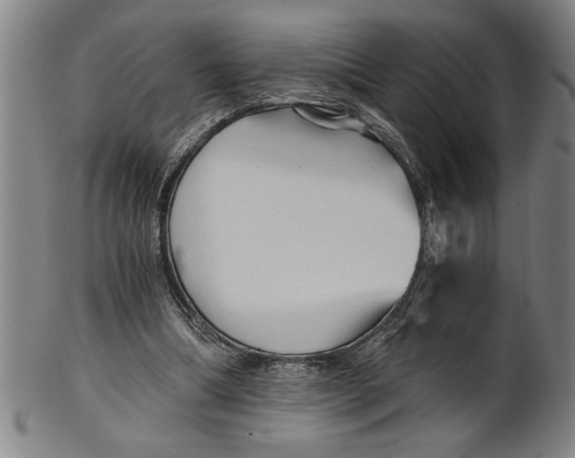 X0000101950298200808081511