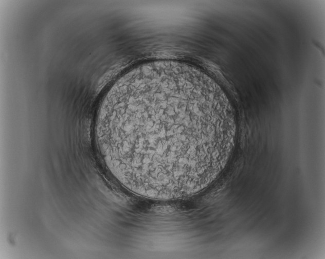 X0000101950299200808081511
