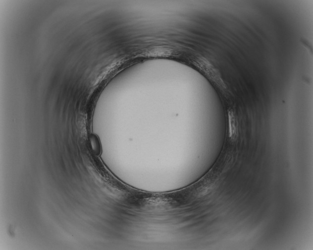 X0000101950300200808081511