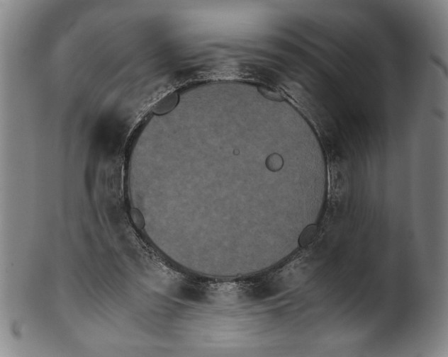 X0000101950301200808081511