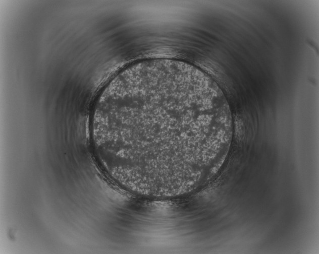 X0000101950302200808081511