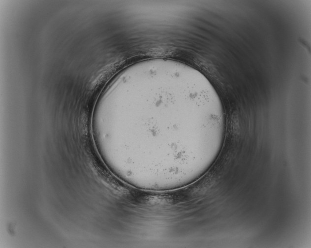 X0000101950303200808081511