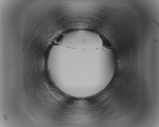 X0000101950304200808081511