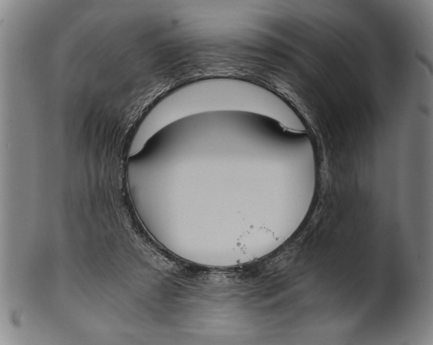 X0000101950305200808081511