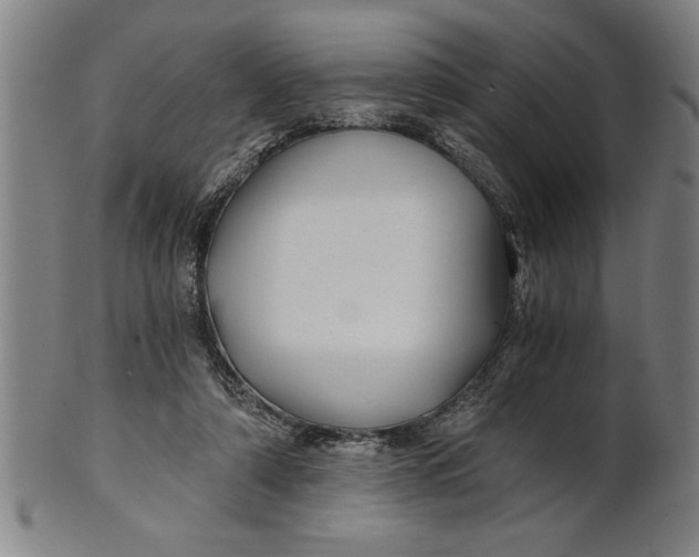 X0000101950306200808081511