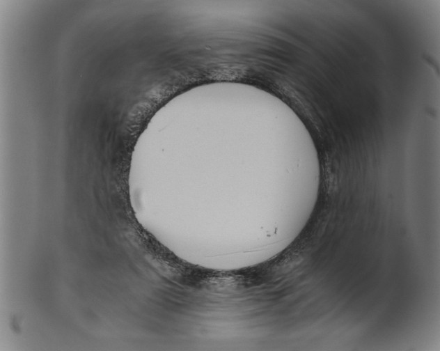 X0000101950307200808081511