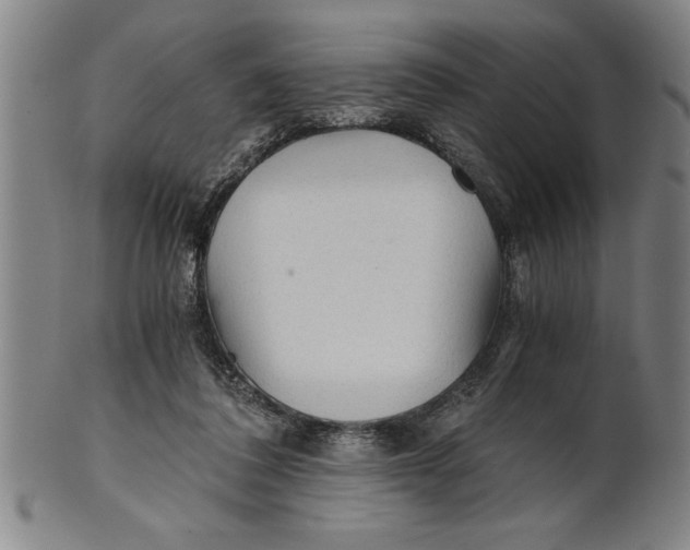 X0000101950308200808081511